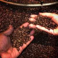 Gourmet Coffee Beans