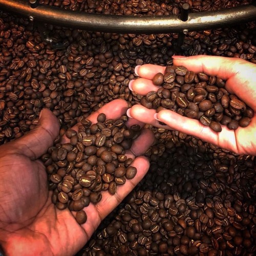 Gourmet Coffee Beans