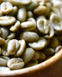 Excelsa Coffee Beans