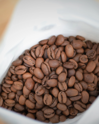 Specialty Coffee Beans