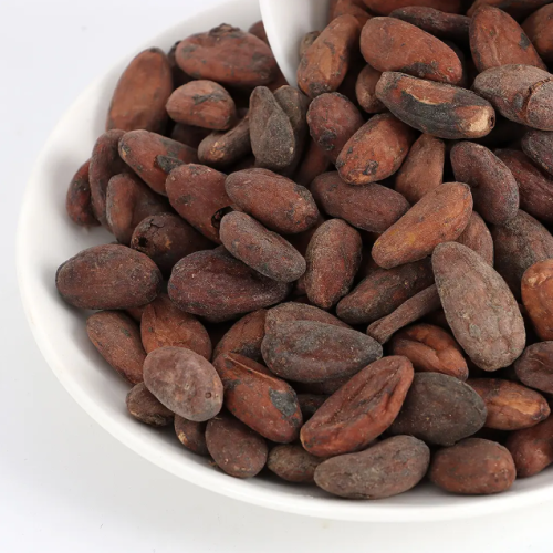 Brazil Cocoa Beans Cacao Beans Chocolate Price